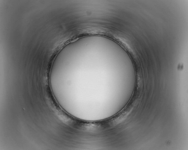 X0000091310453200709071117