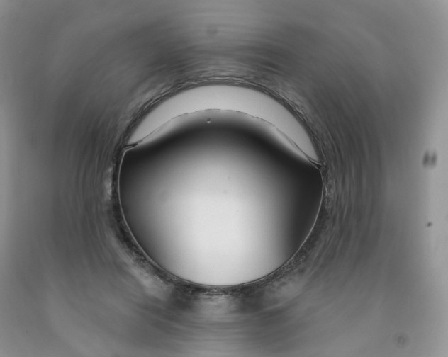 X0000091310454200709071117