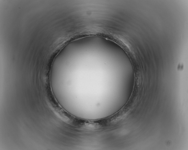 X0000091310455200709071117