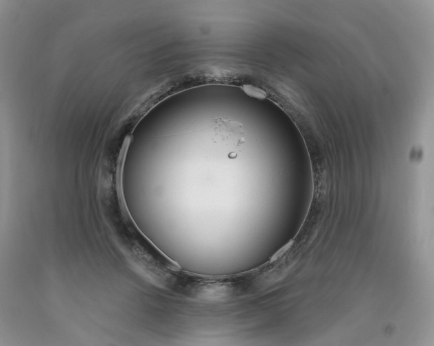 X0000091310456200709071117