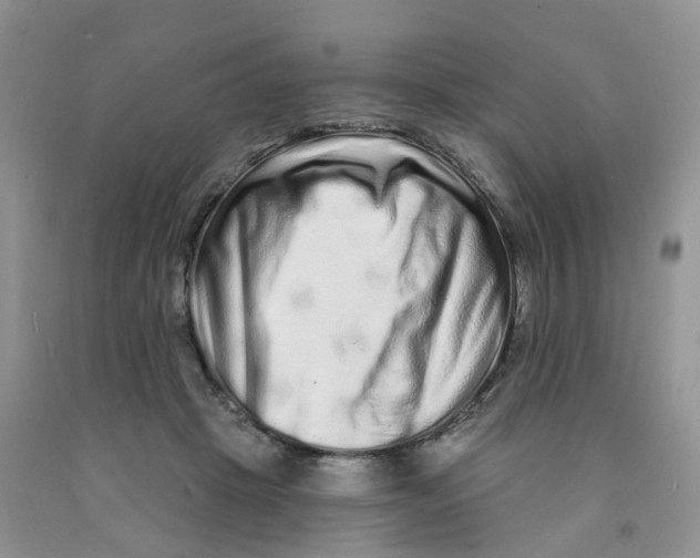 X0000091310457200709071117