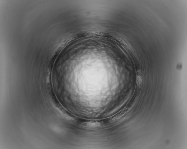 X0000091310458200709071117