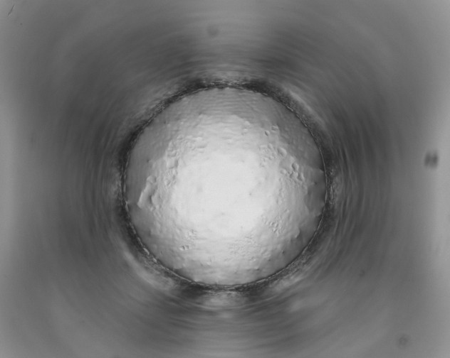 X0000091310459200709071117