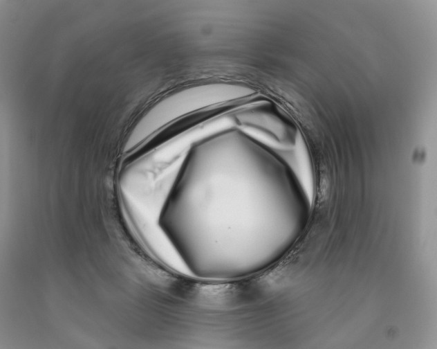 X0000091310461200709071117