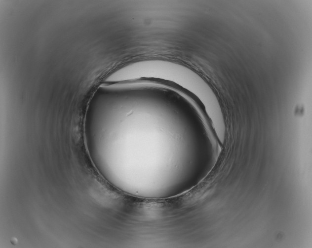 X0000091310462200709071117