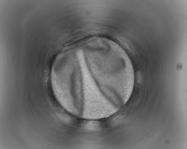 X0000091310463200709071117