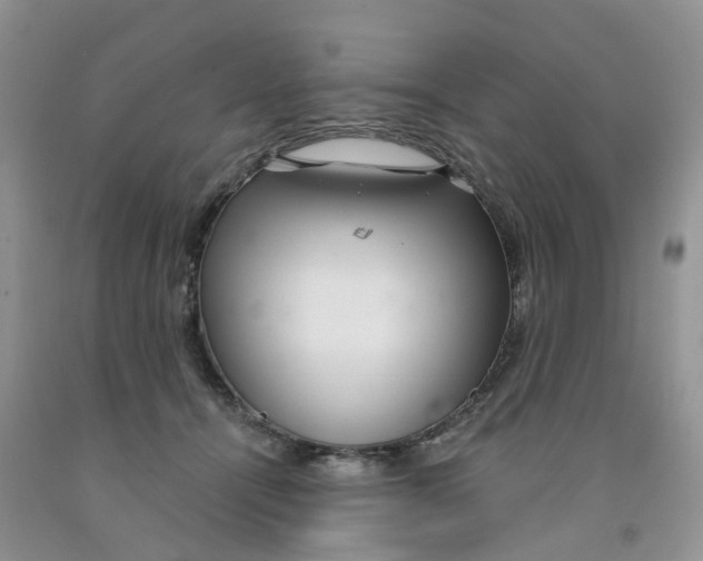 X0000091310464200709071117