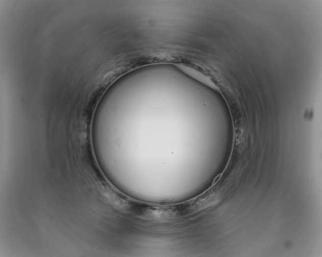 X0000091310466200709071117