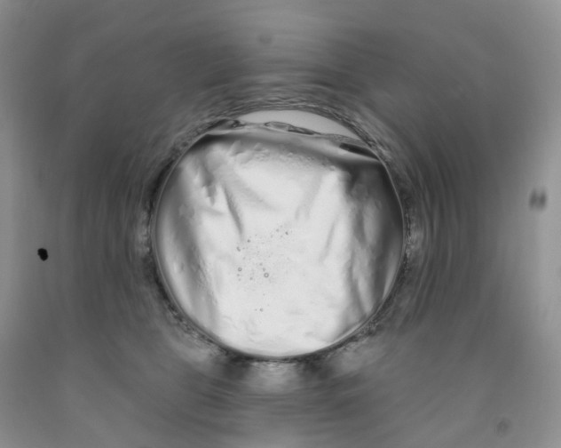 X0000091310469200709071117