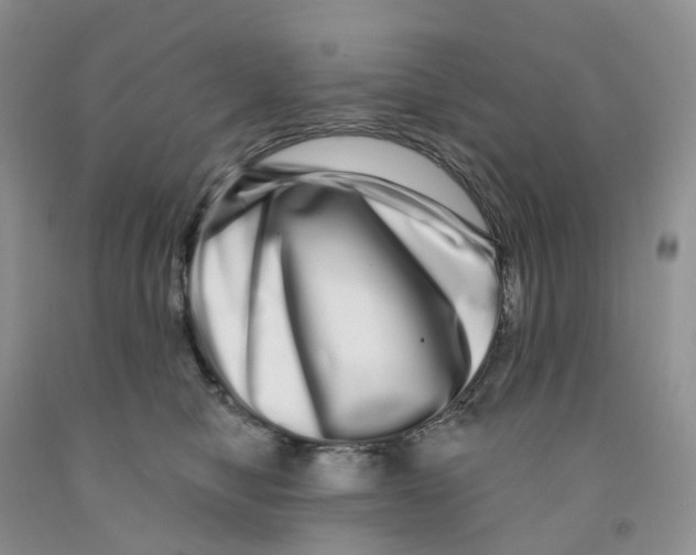 X0000091310470200709071117
