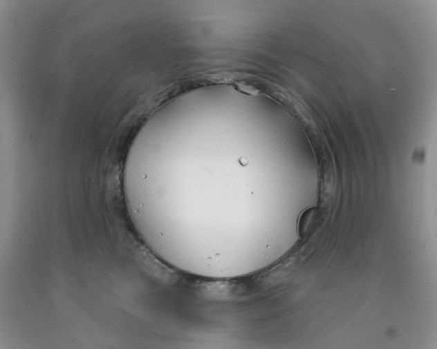 X0000091310473200709071117
