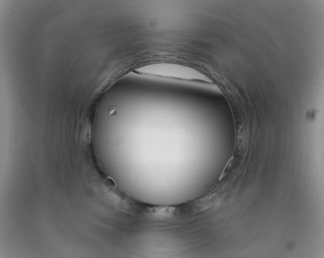 X0000091310474200709071117