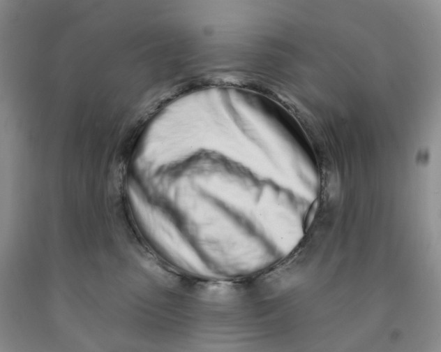 X0000091310475200709071117