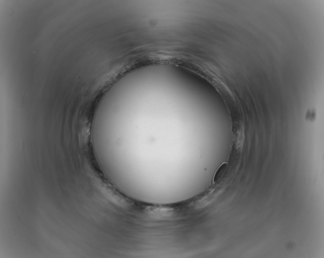 X0000091310476200709071117