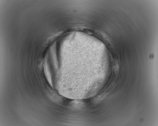 X0000091310477200709071117