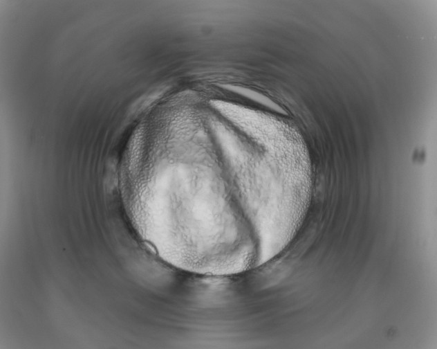 X0000091310478200709071117