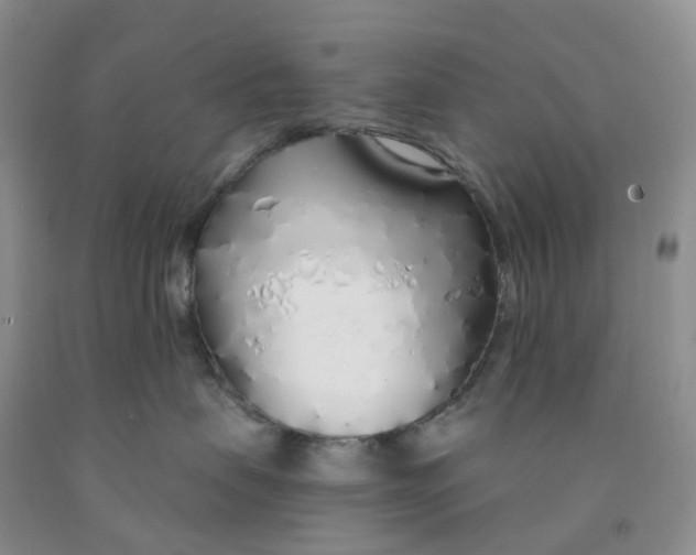 X0000091310479200709071117