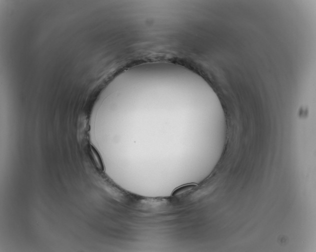 X0000091310480200709071117