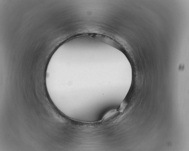 X0000091310481200709071117