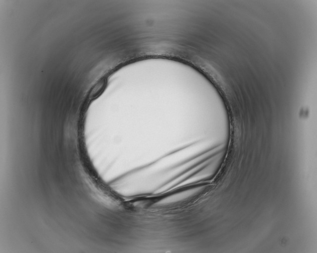 X0000091310482200709071117