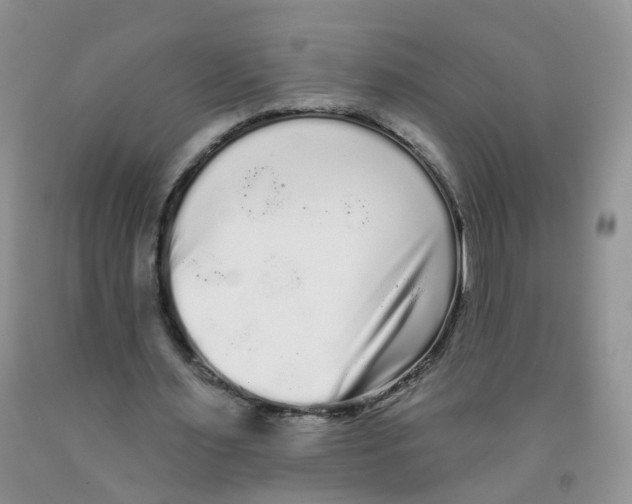 X0000091310483200709071117