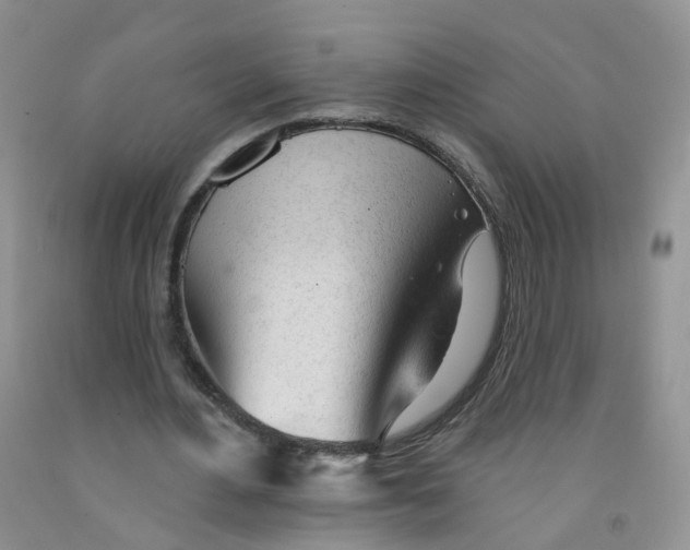 X0000091310484200709071117