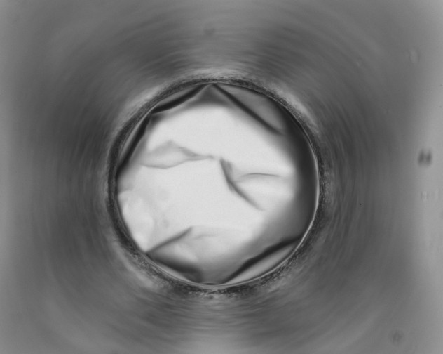 X0000091310486200709071117