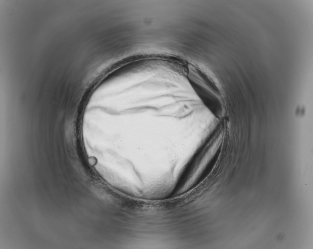 X0000091310487200709071117