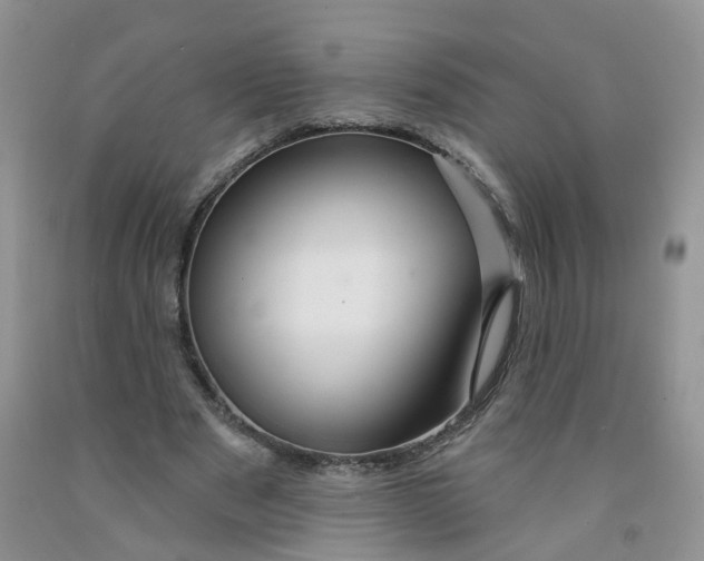 X0000091310489200709071117