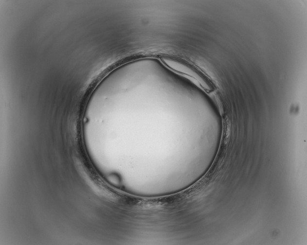 X0000091310491200709071117
