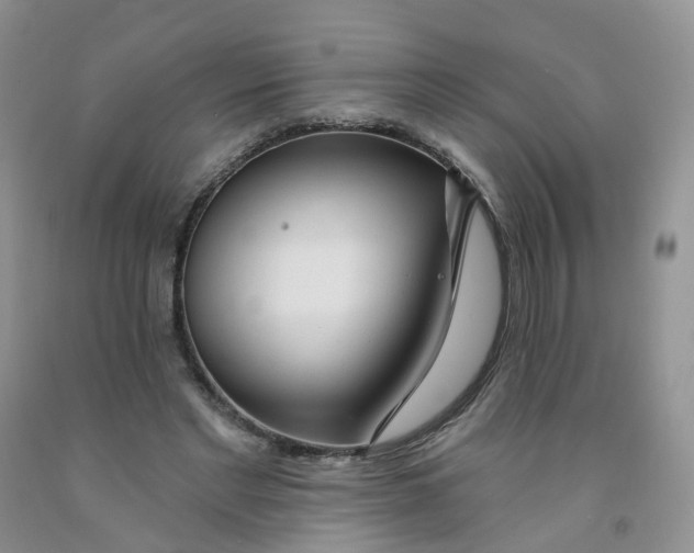 X0000091310493200709071117