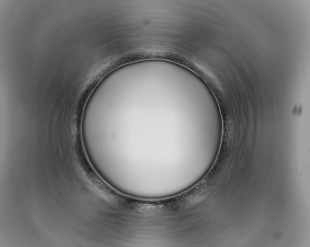 X0000091310494200709071117
