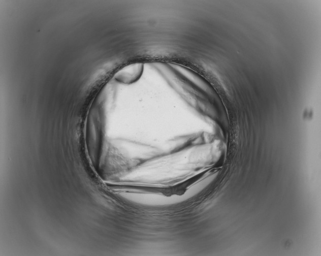 X0000091310495200709071117