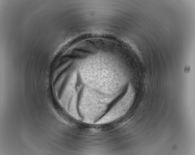 X0000091310496200709071117