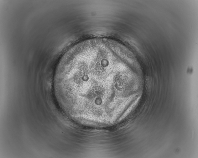 X0000091310499200709071117