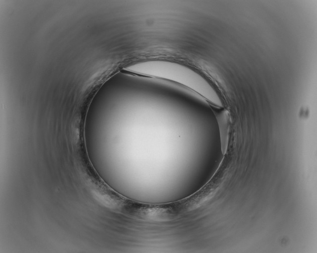 X0000091310501200709071116