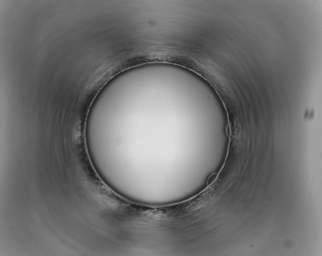 X0000091310502200709071116