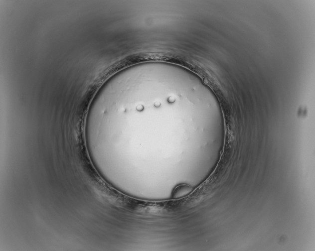 X0000091310503200709071116