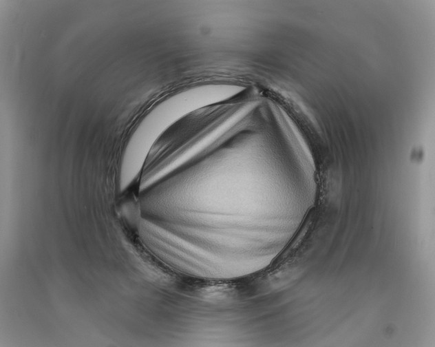X0000091310505200709071116