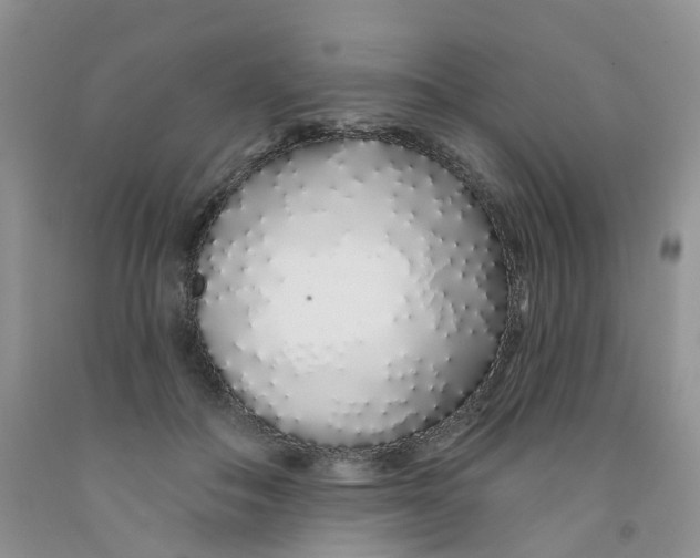 X0000091310506200709071116