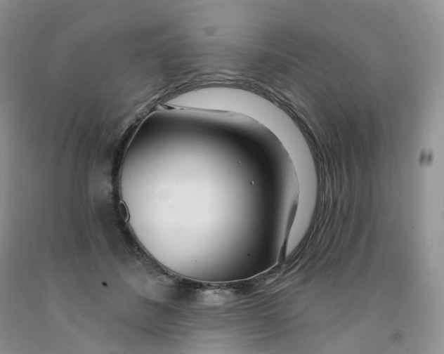 X0000091310508200709071116