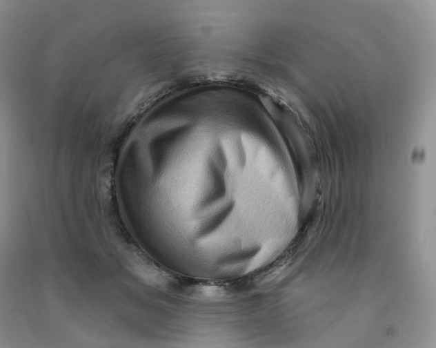 X0000091310509200709071116