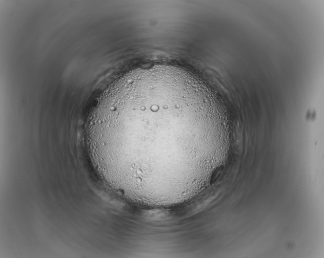 X0000091310511200709071116