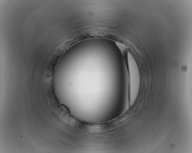X0000091310513200709071116