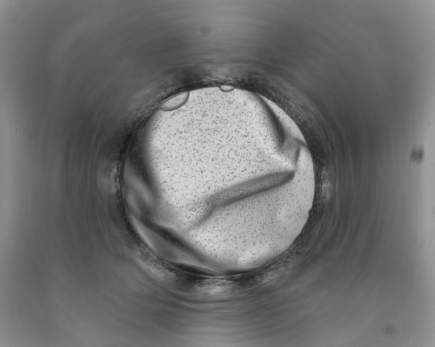 X0000091310514200709071116