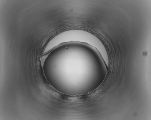 X0000091310516200709071116