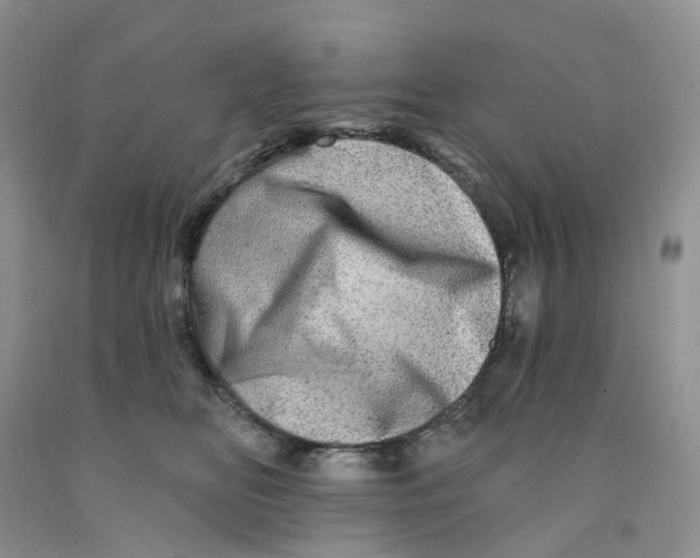 X0000091310518200709071116