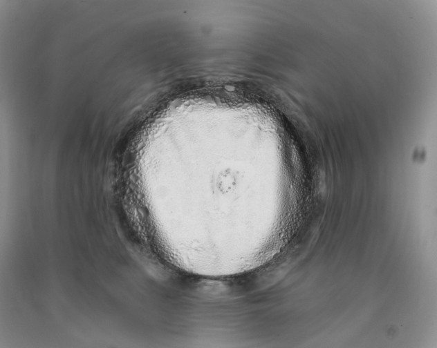 X0000091310519200709071116