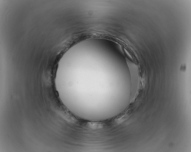 X0000091310520200709071116