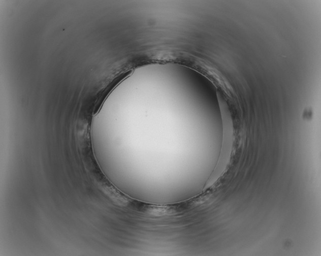 X0000091310521200709071116